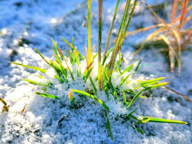河北北部雨雪来袭！应对“断崖式”降温防护指南快收好→
